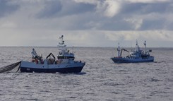Sjohav og Hillersøy på makrellfiske 2012